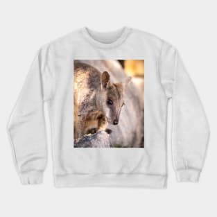 Rock Wallaby Crewneck Sweatshirt